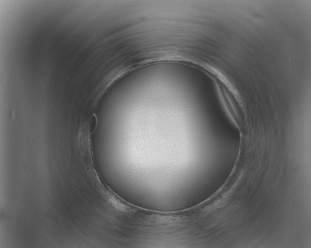 X0000073971289200609111732