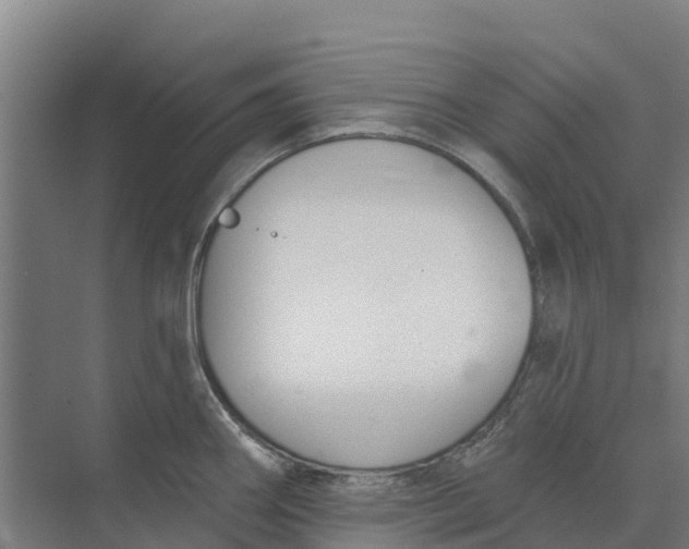 X0000073971290200609111732