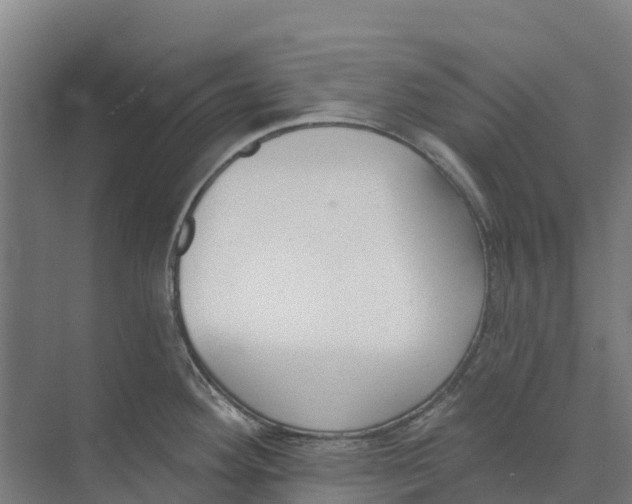 X0000073971292200609111732