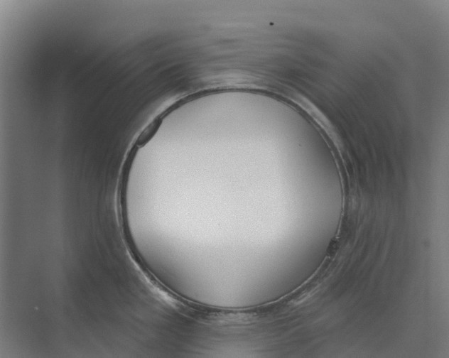 X0000073971293200609111732