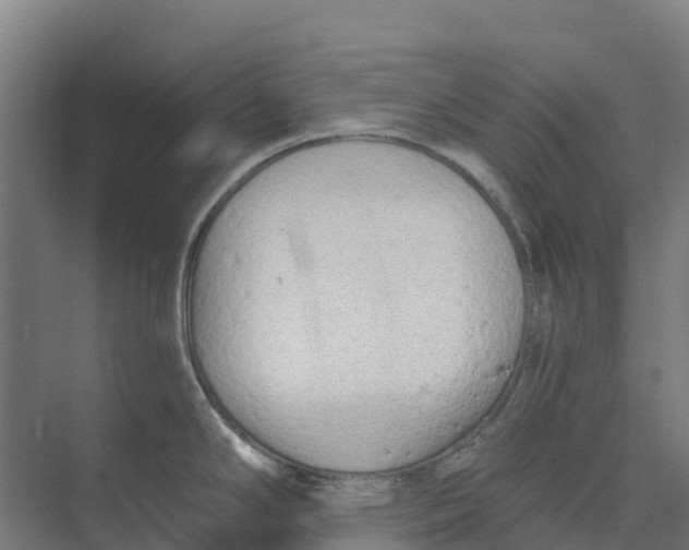 X0000073971294200609111732