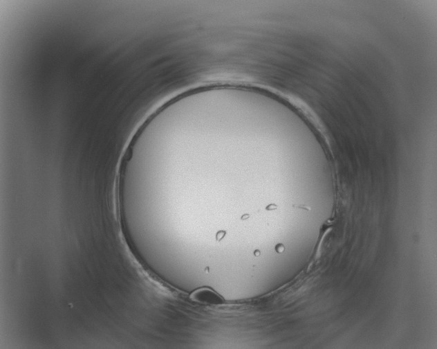 X0000073971295200609111732