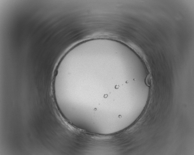 X0000073971296200609111732