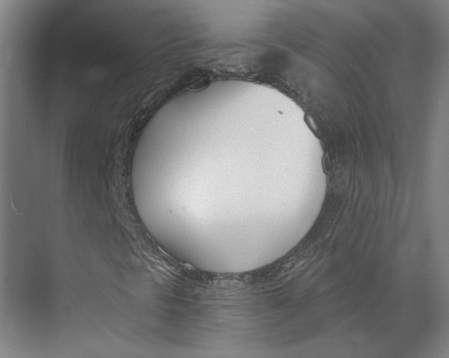 X0000073971297200609111731