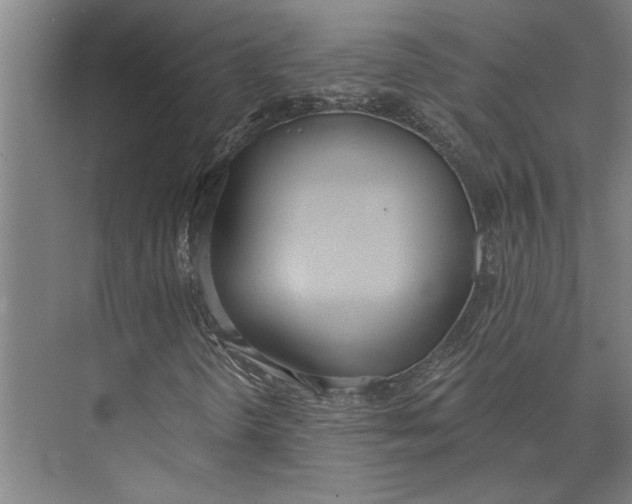 X0000073971298200609111731