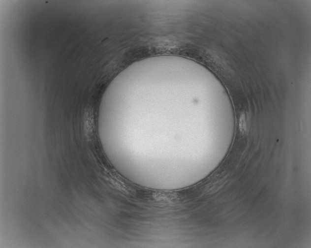 X0000073971299200609111731