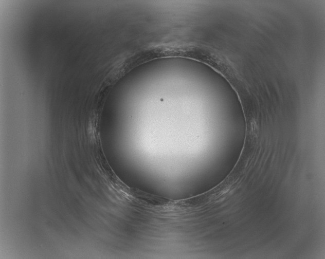 X0000073971300200609111731