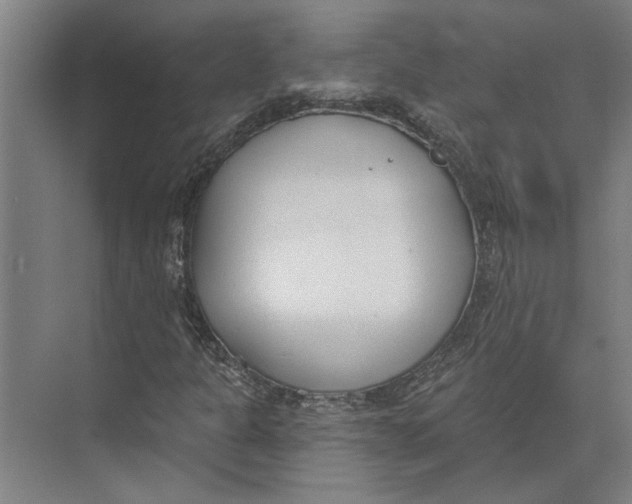 X0000073971301200609111731