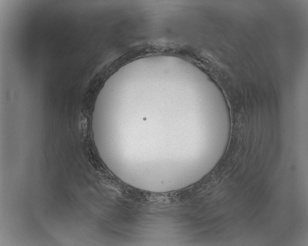 X0000073971302200609111731