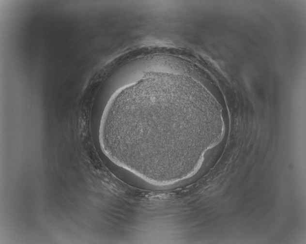 X0000073971303200609111731