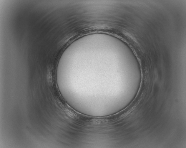 X0000073971305200609111731