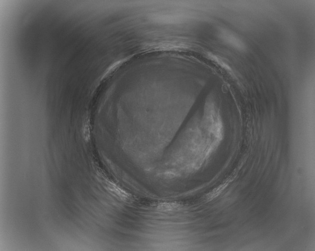 X0000073971306200609111731