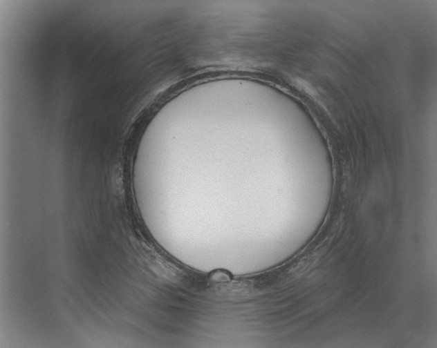 X0000073971307200609111731