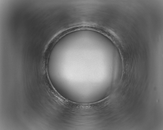 X0000073971310200609111732