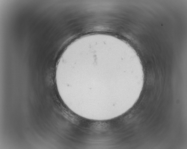 X0000073971314200609111732