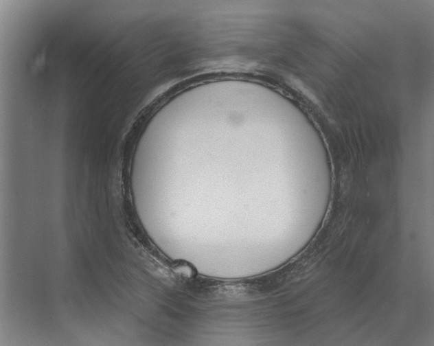 X0000073971315200609111732