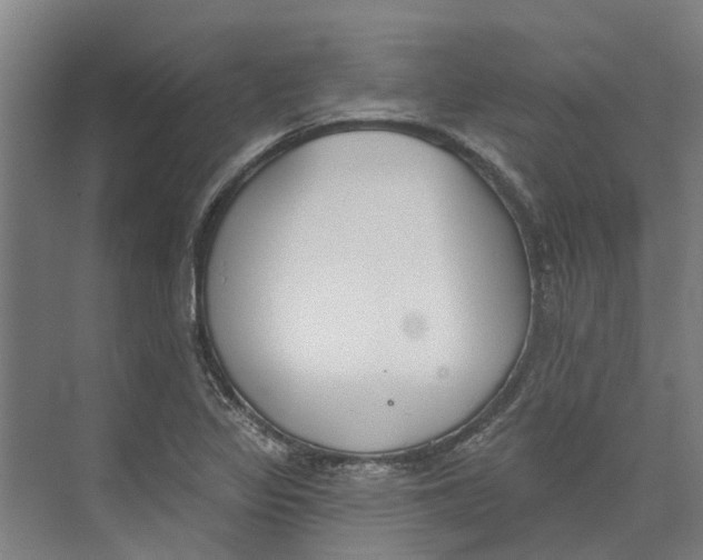 X0000073971317200609111732