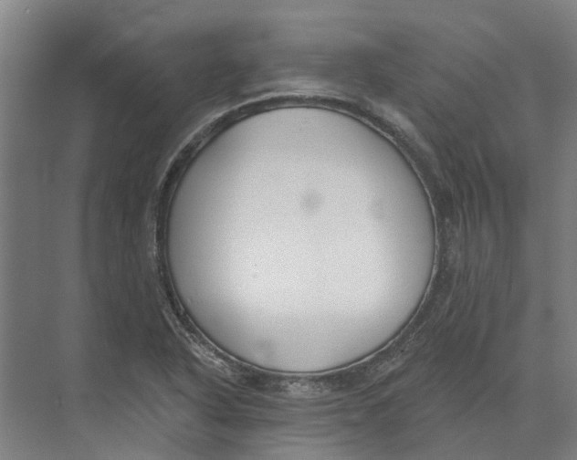 X0000073971318200609111732