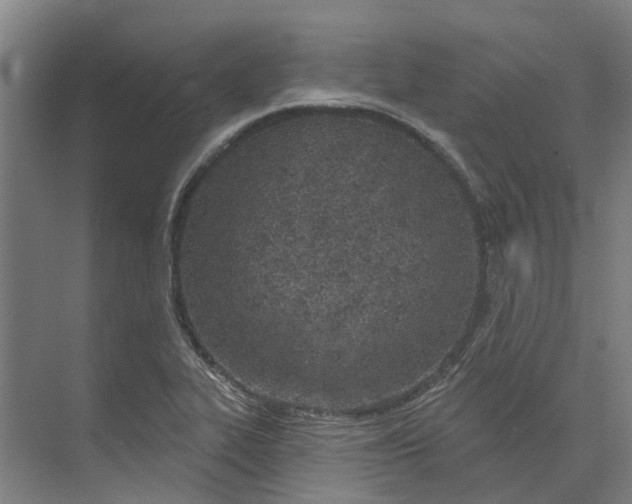 X0000073971319200609111732