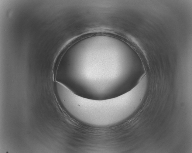 X0000073971320200609111732