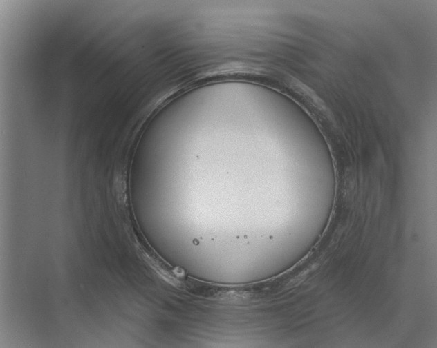 X0000073971321200609111732