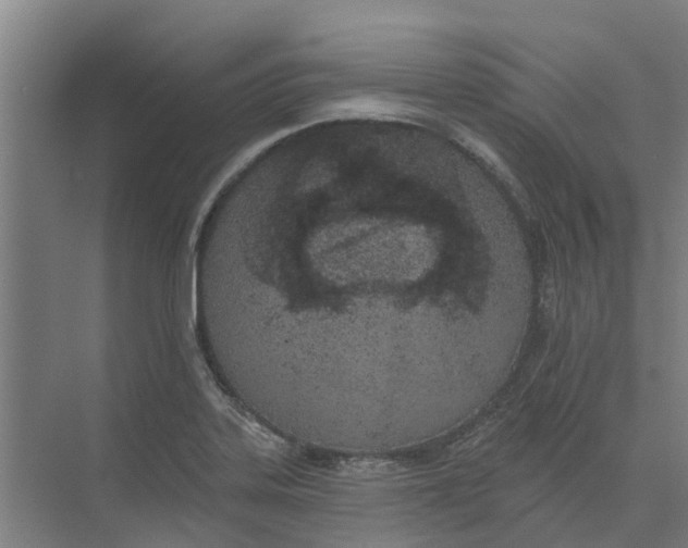 X0000073971323200609111732