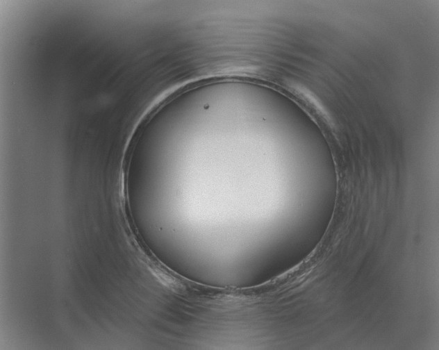 X0000073971324200609111732