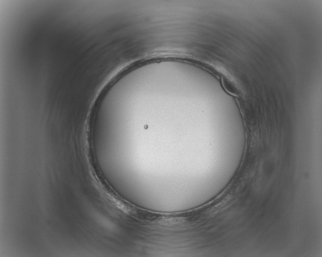 X0000073971325200609111732