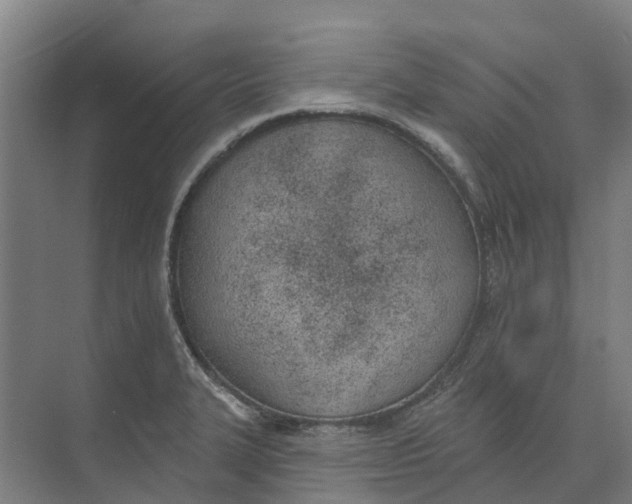 X0000073971327200609111732