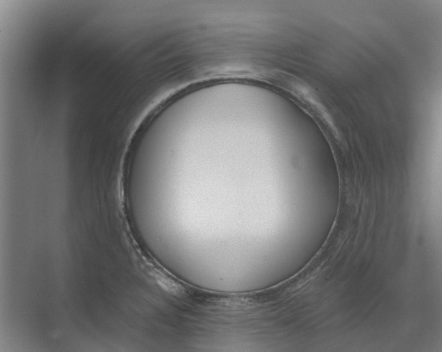 X0000073971328200609111732