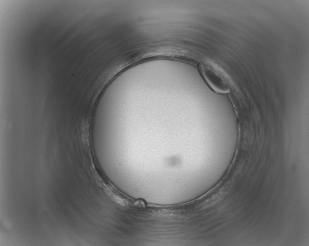 X0000073971329200609111732