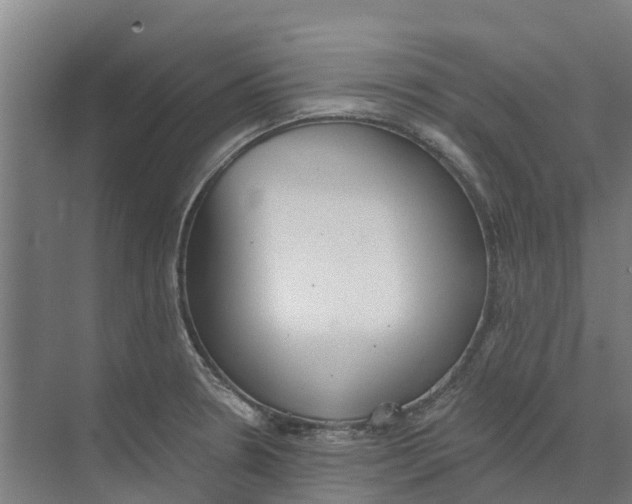 X0000073971330200609111732