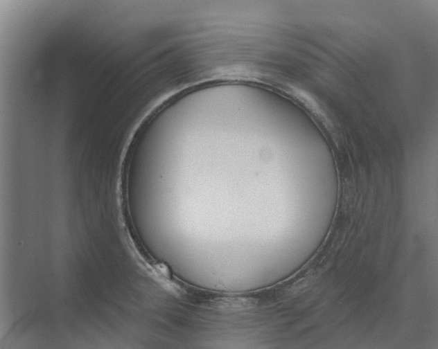 X0000073971331200609111732