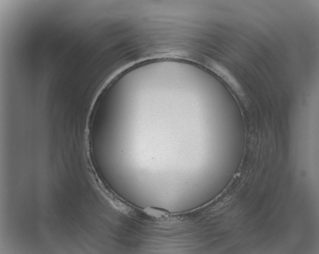 X0000073971332200609111732