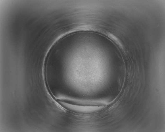 X0000073971334200609111732