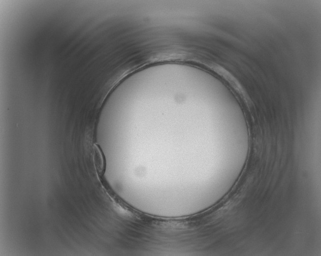 X0000073971337200609111732