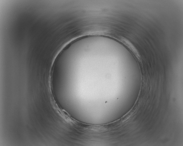 X0000073971340200609111732