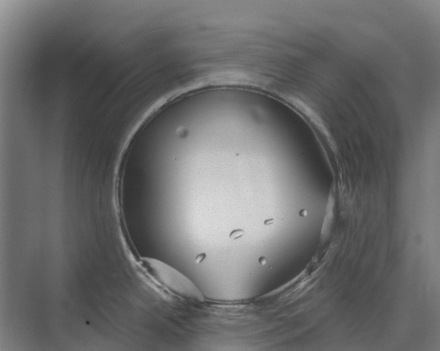 X0000073971342200609111732