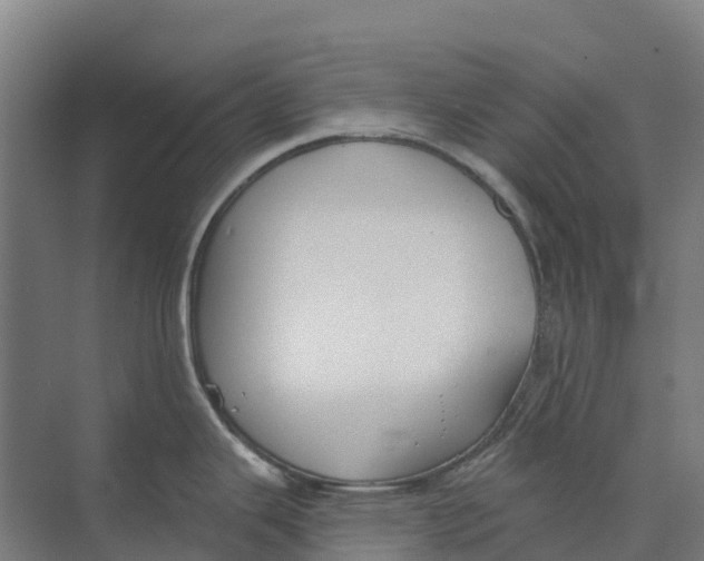 X0000073971343200609111732