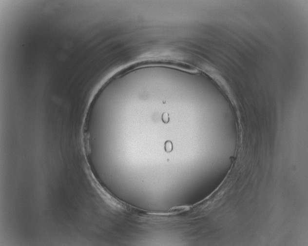 X0000073971344200609111732