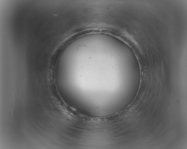 X0000073971352200609111731