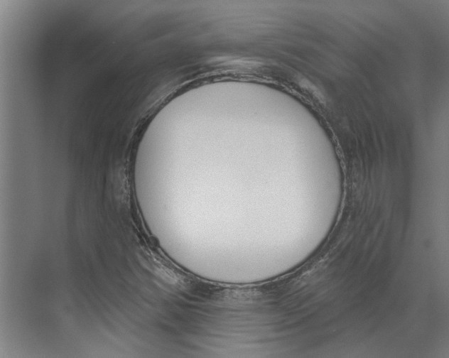 X0000073971354200609111731