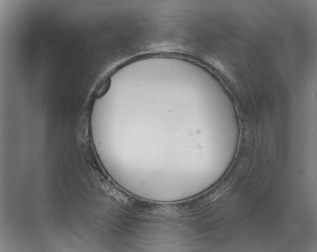 X0000073971358200609111731