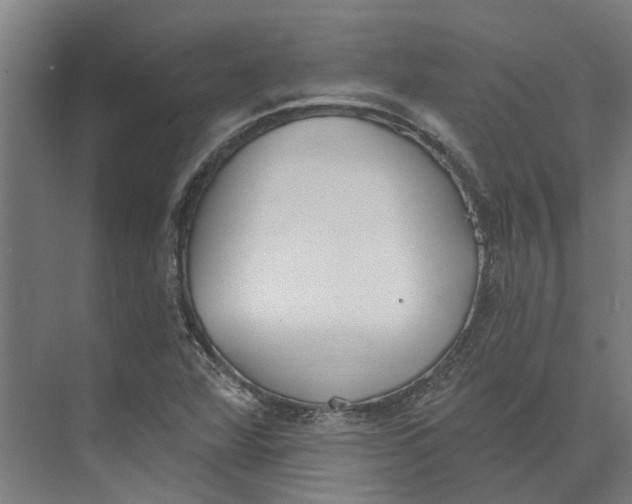 X0000073971360200609111731