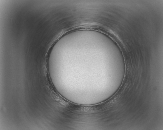 X0000073971362200609111731