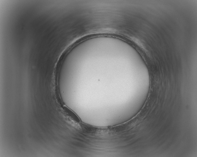 X0000073971364200609111731