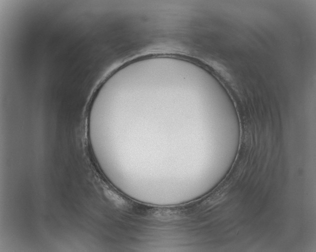 X0000073971366200609111731