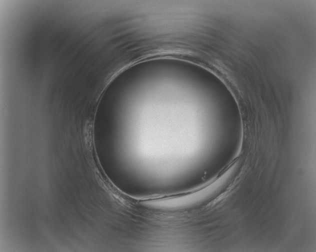 X0000073971369200609111731