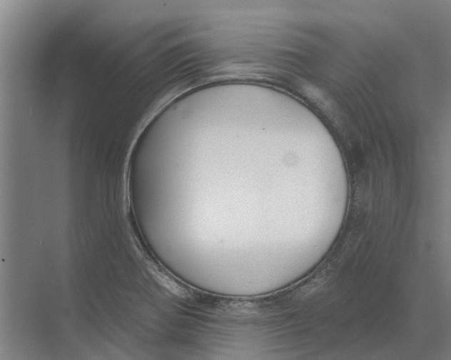 X0000073971370200609111731