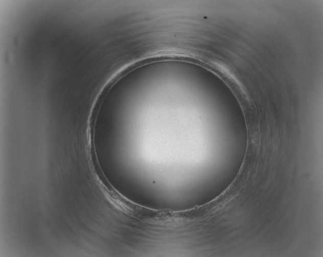 X0000073971372200609111731